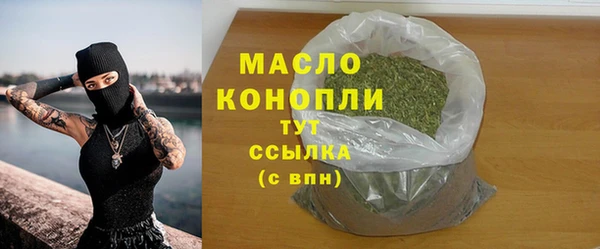 гидра Майский