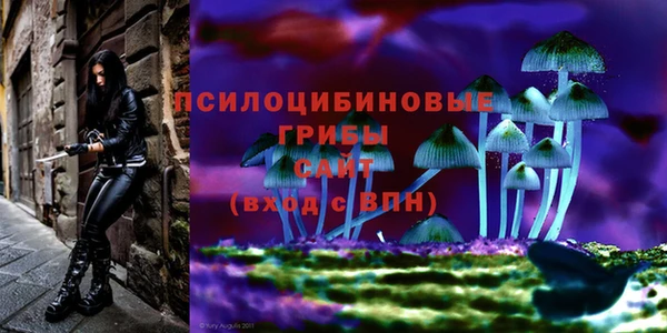 гидра Майский