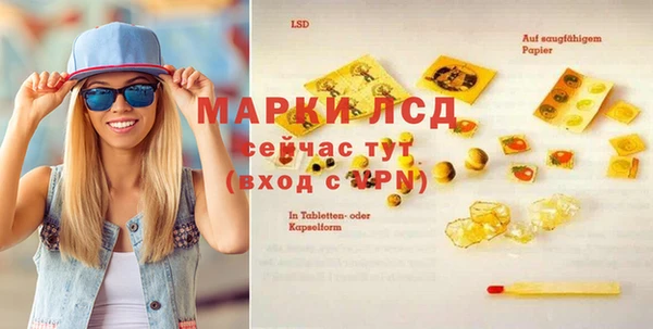 гидра Майский