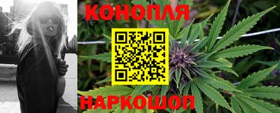 сатива Заводоуковск