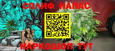 сатива Заводоуковск