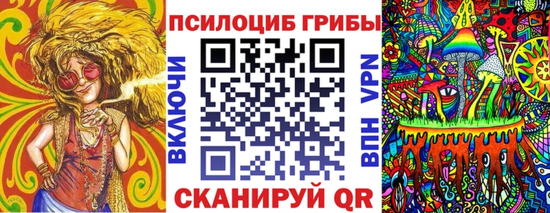 купить закладку Кызыл Галлюциногенные грибы Psilocybe