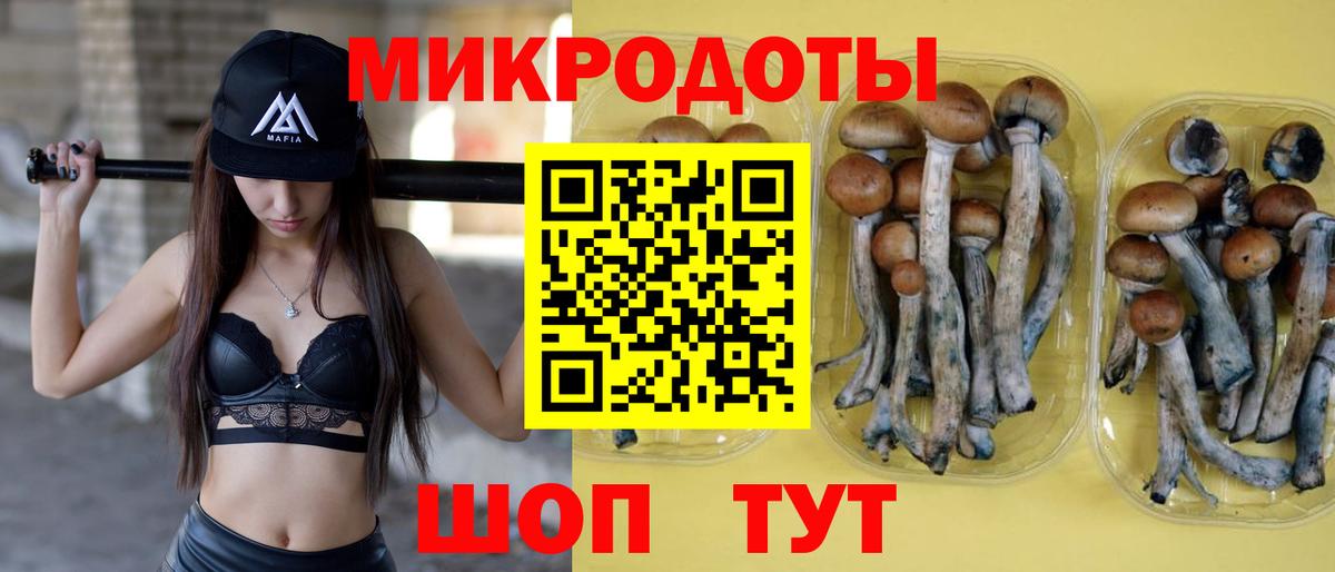Псилоцибиновые грибы GOLDEN TEACHER  Вход с VPN  Кызыл 