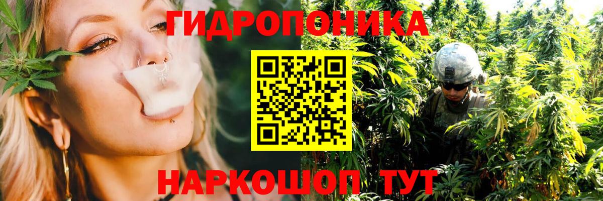 Конопля сатива  Вход с VPN  Кызыл  Бошки Шишки AK-47  Бошки марихуана семена 
